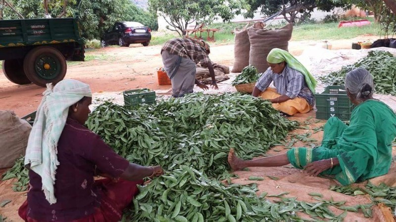Kavithalaya Farms