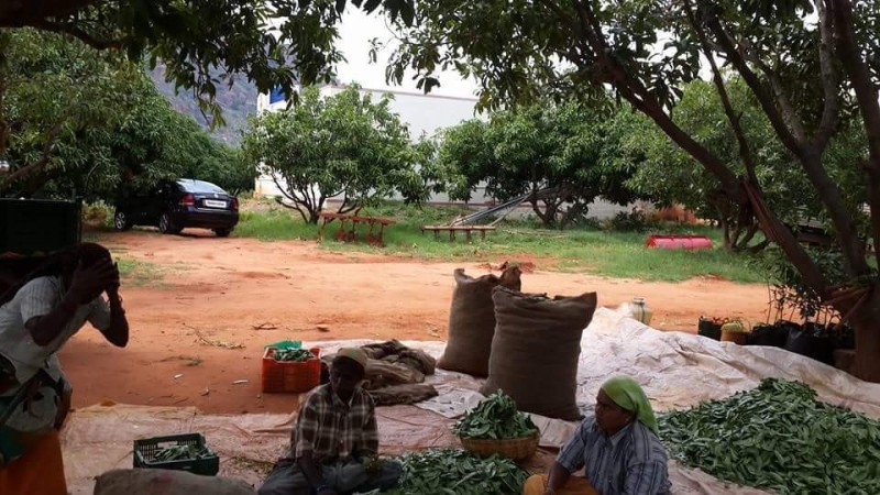 Kavithalaya Farms