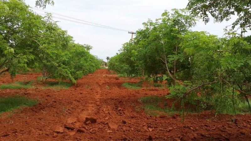 Kavithalaya Farms